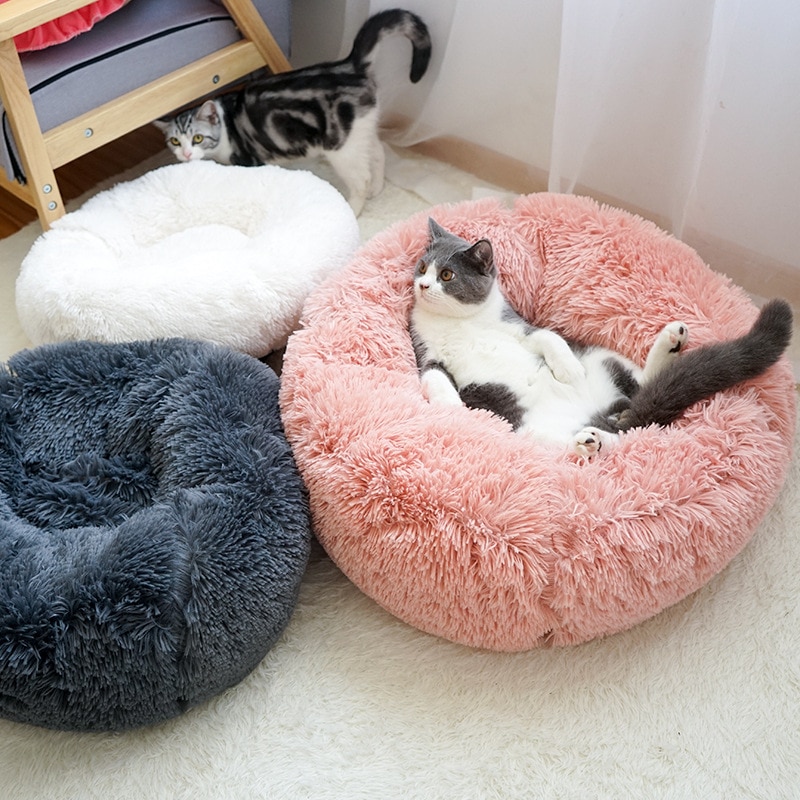 Coussin spécial pour chat avec le confort des microbilles pour animaux